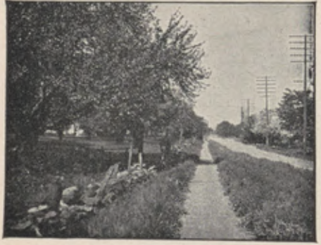 Sharp photograph of a canal and its towpath made with a clean lens.